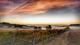 De beaux lents demains-Lionel Lambert-Labarthe Tarn et Garonne