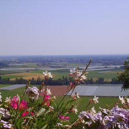 point de vue laf