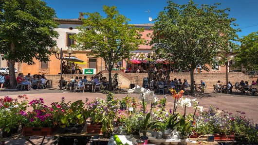 place l art du temps Raphael Antic