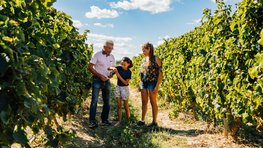 IGP Lavilledieu massougne Camille Chretien pour la food locale IGP Lavilledieu massougne Camille Chretien pour la food locale